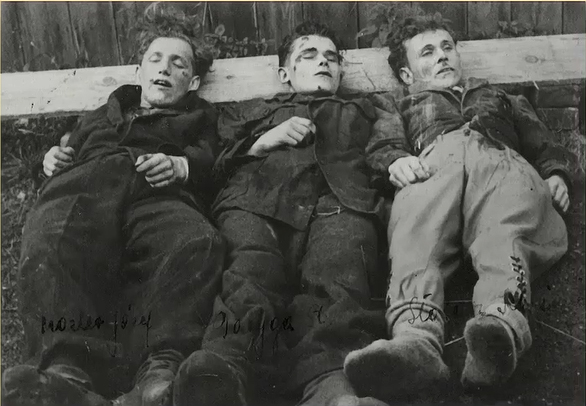 Zdjęcie przedstawia zastrzelonuch członków NOB